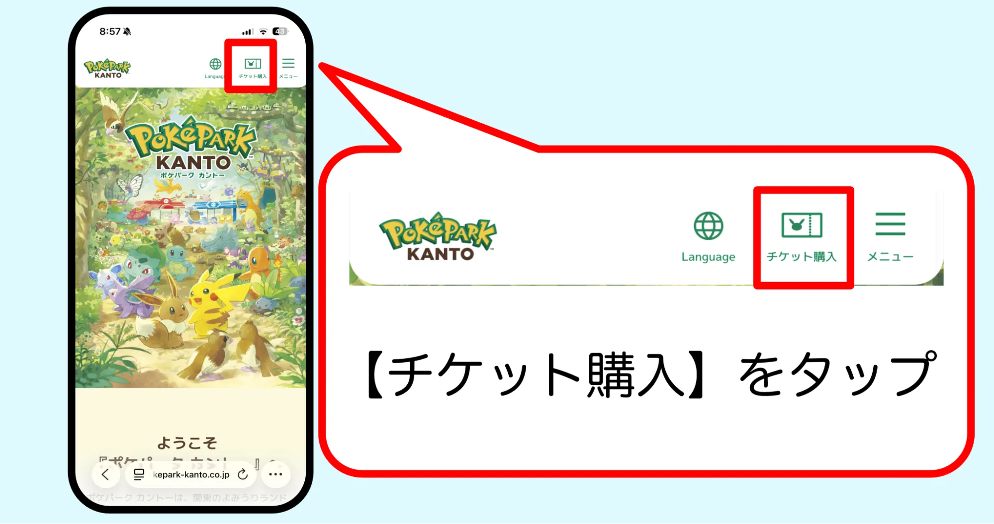 ポケパークチケット購入方法