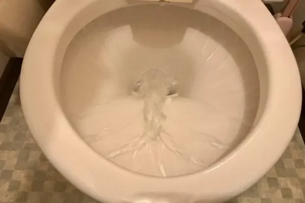 トイレを流す