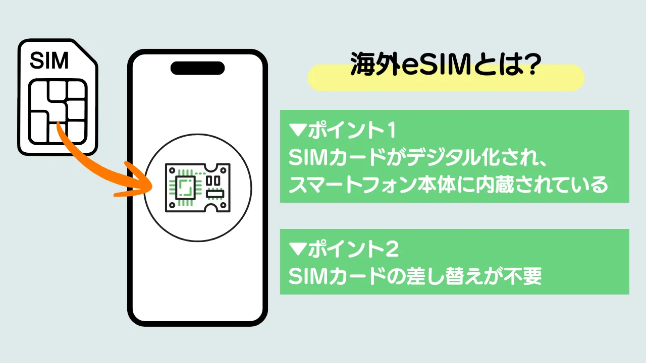 海外eISMとは