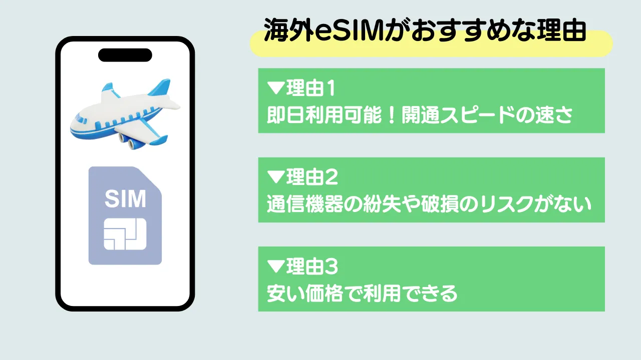 海外eISMおすすめ理由