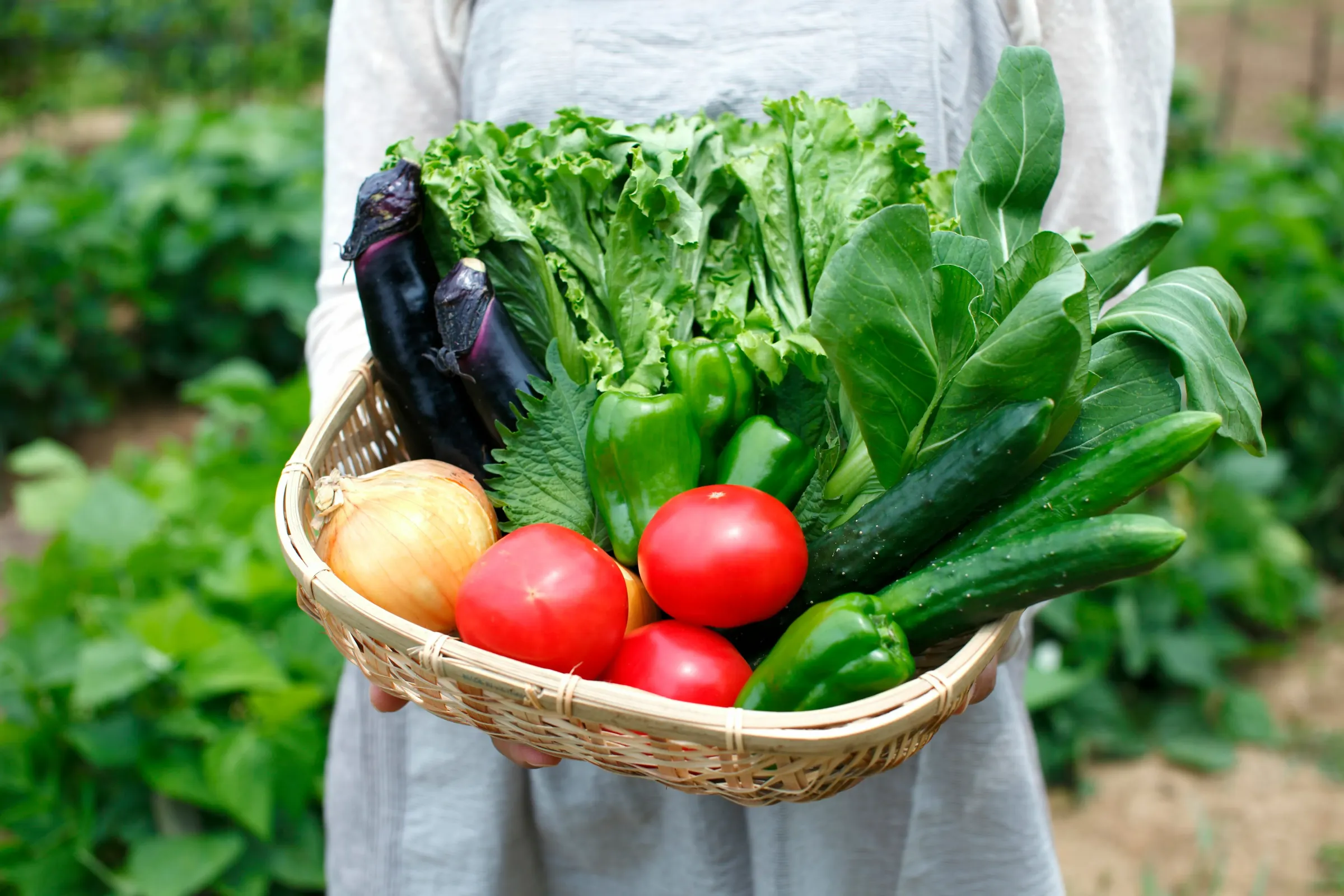 野菜