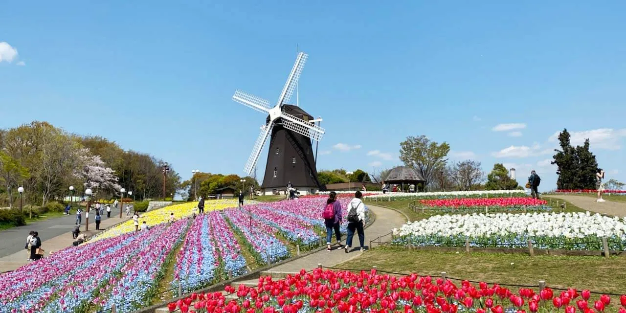 大阪観光 おすすめ