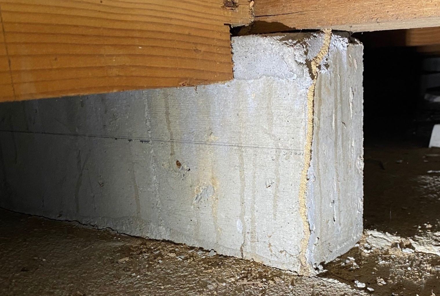 ヤマトシロアリによる被害