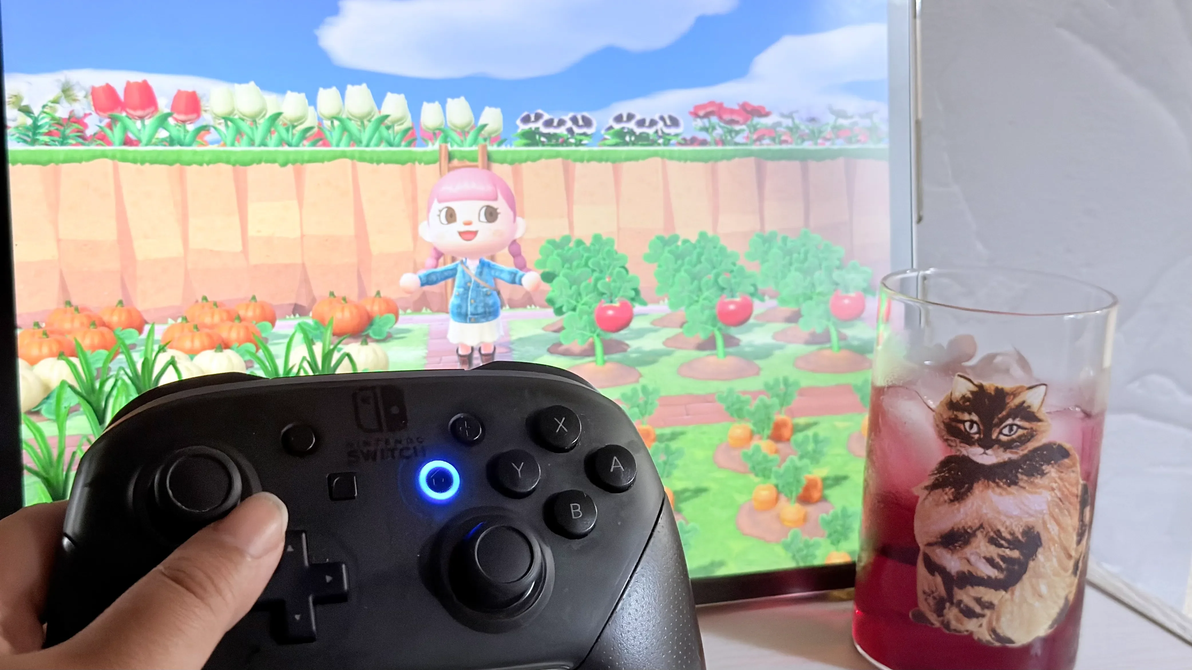ゲームで遊ぶ様子