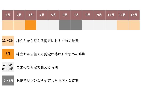 剪定時期
