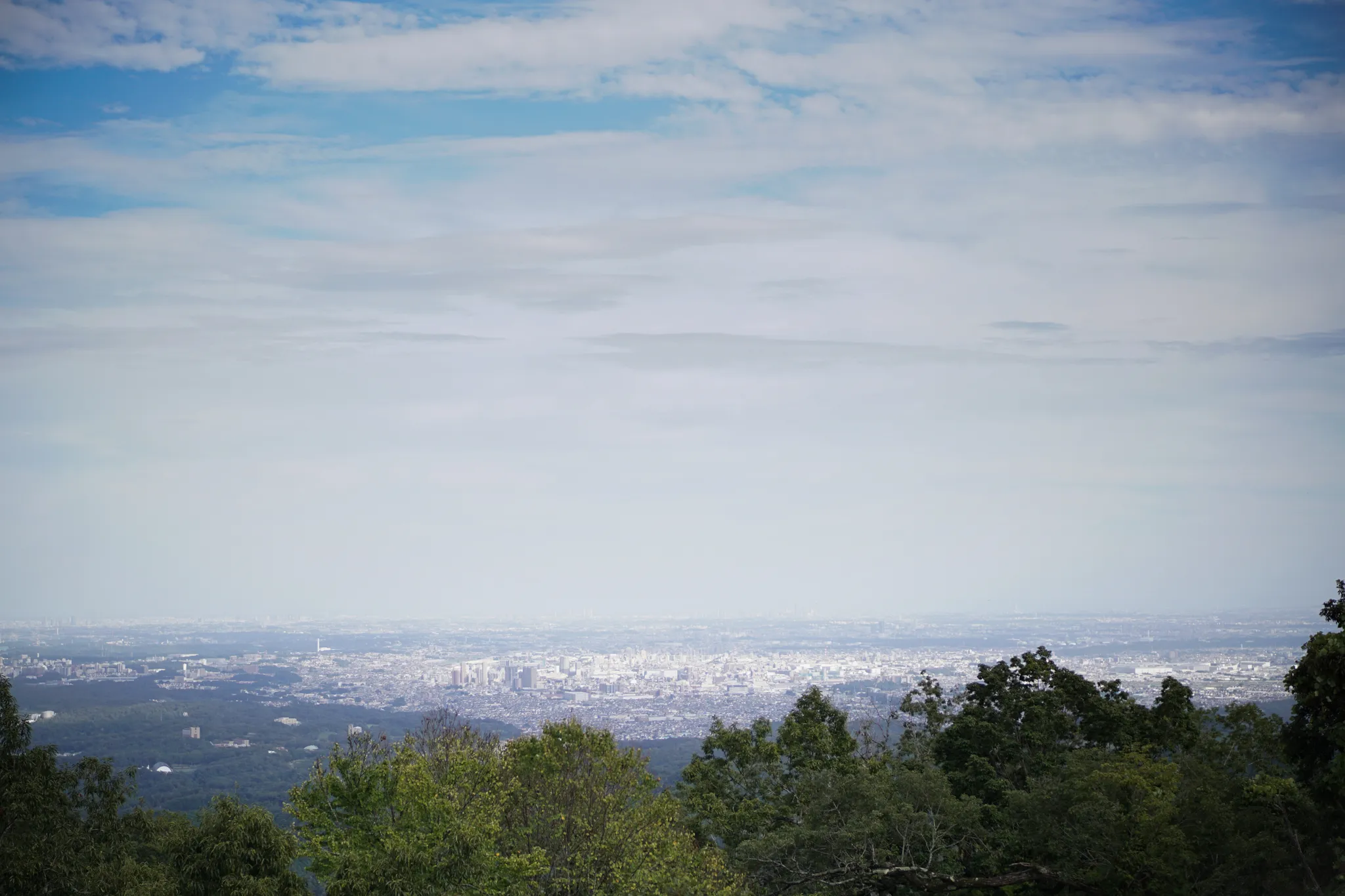 高尾山からの景色