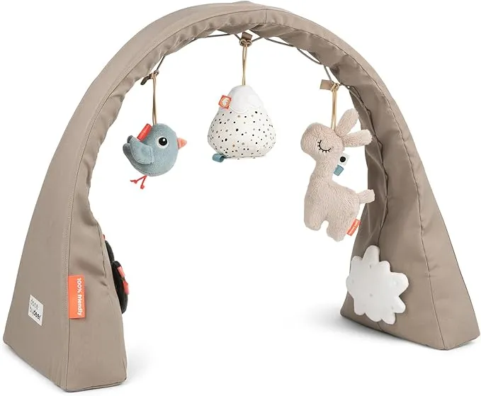 ダンバイディア アクティビティジム ラリー サンド