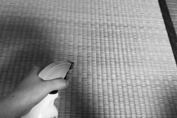 ダニを退治する方法