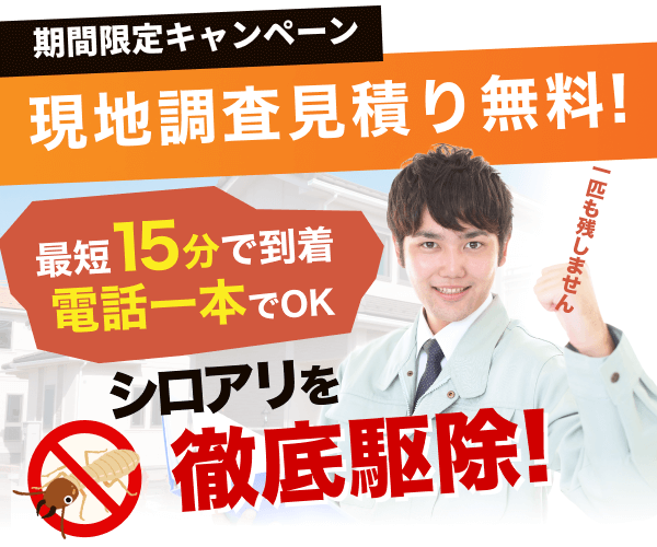 街角シロアリ駆除相談所