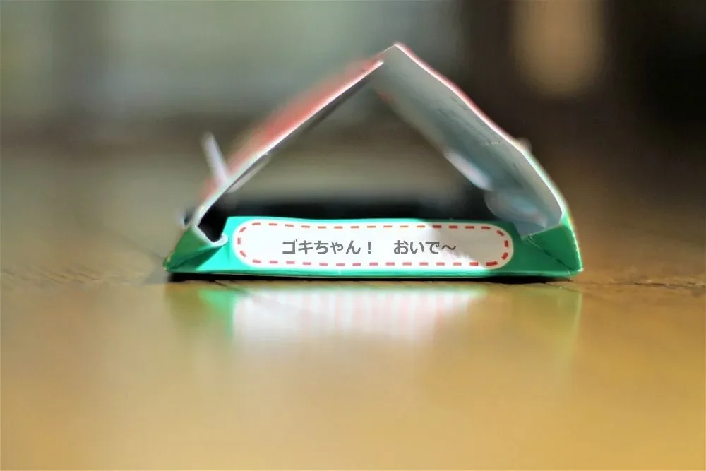 サツマゴキブリの駆除方法