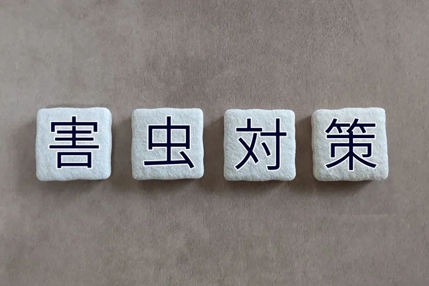 シロアリ予防の必要性