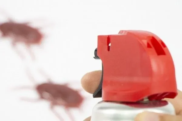 ゴキブリを見失ったらどうする