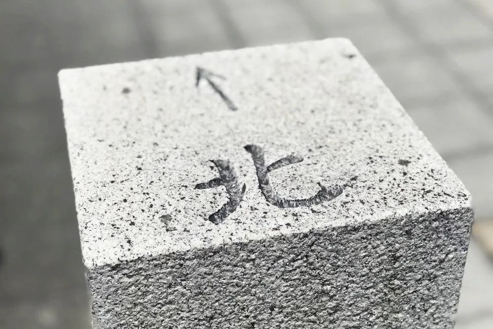 サツマゴキブリが北上してきた理由