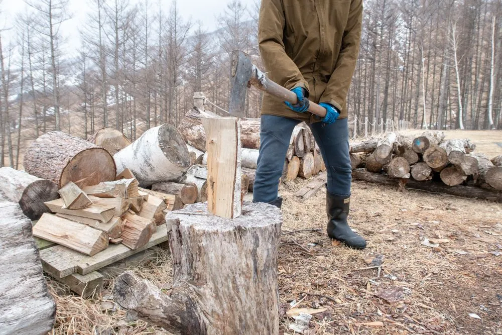薪割り/姿勢
