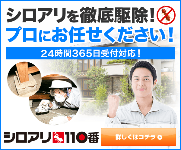 シロアリ110番