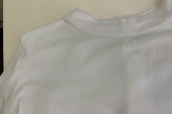 白Tシャツ/イカスミ/洗い上がり