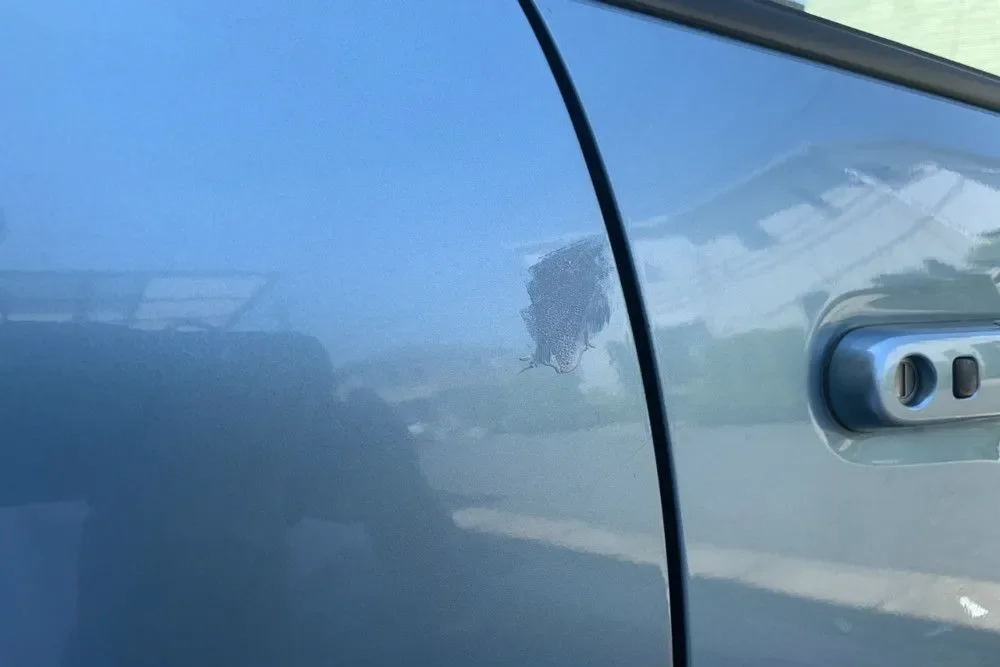 車/傷/コンパウンド/手順