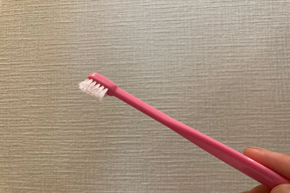 クロス/歯ブラシ