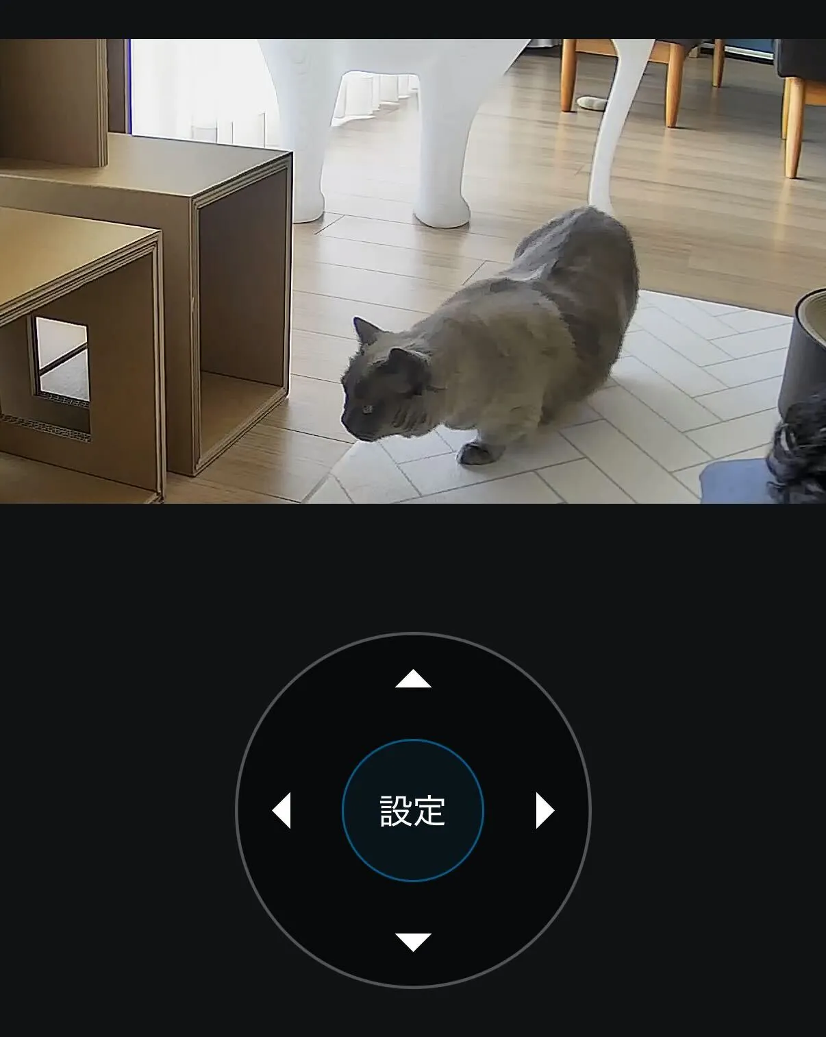 ペットカメラ