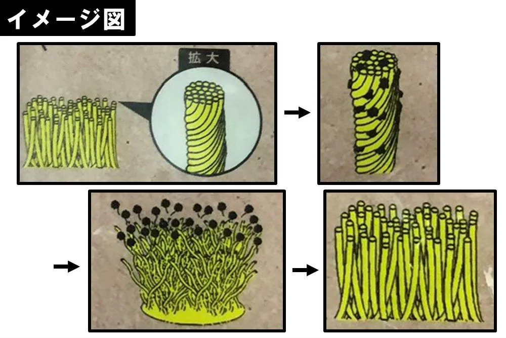 パルスイクロス/仕組み