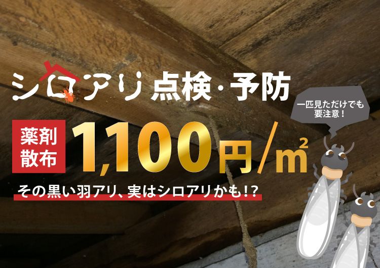 すまサポ