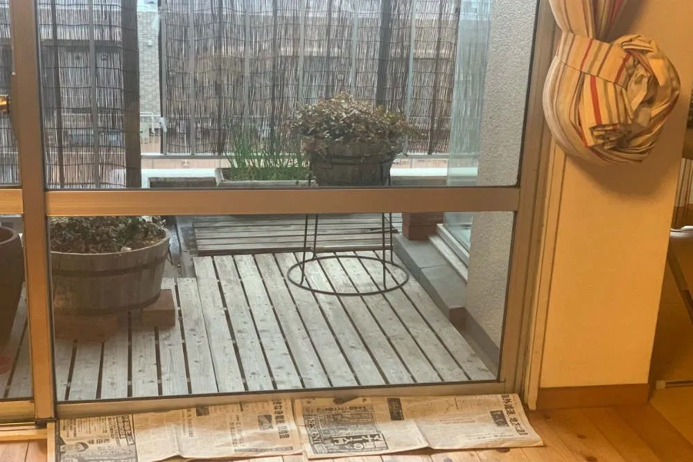 窓/新聞紙