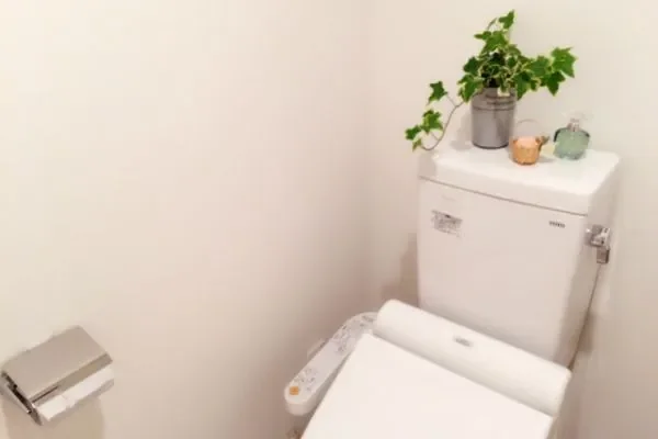 トイレクリーナーの選び方