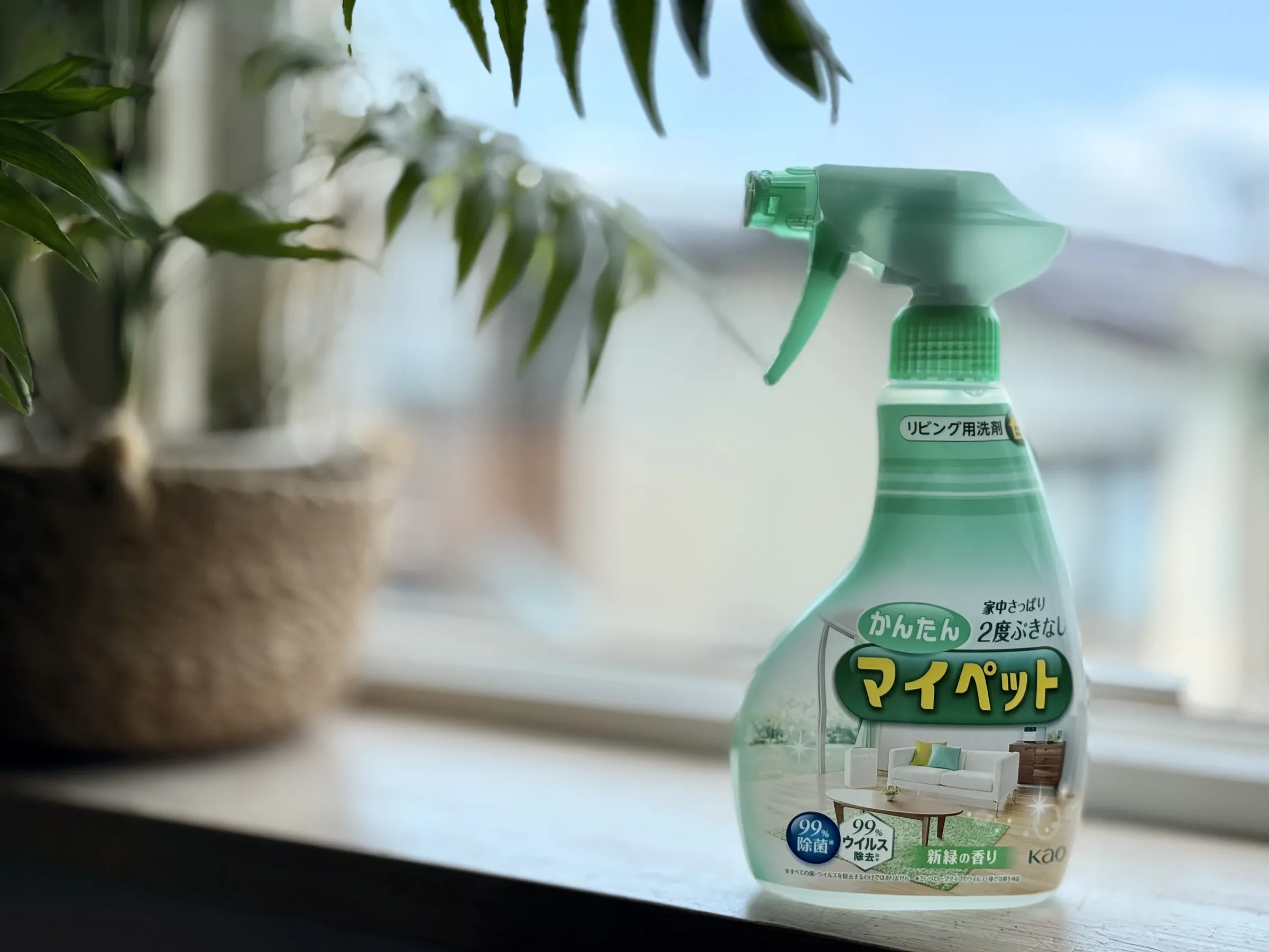 窓ガラスに使うかんたんマイペット