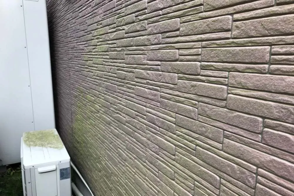苔が生えた外壁