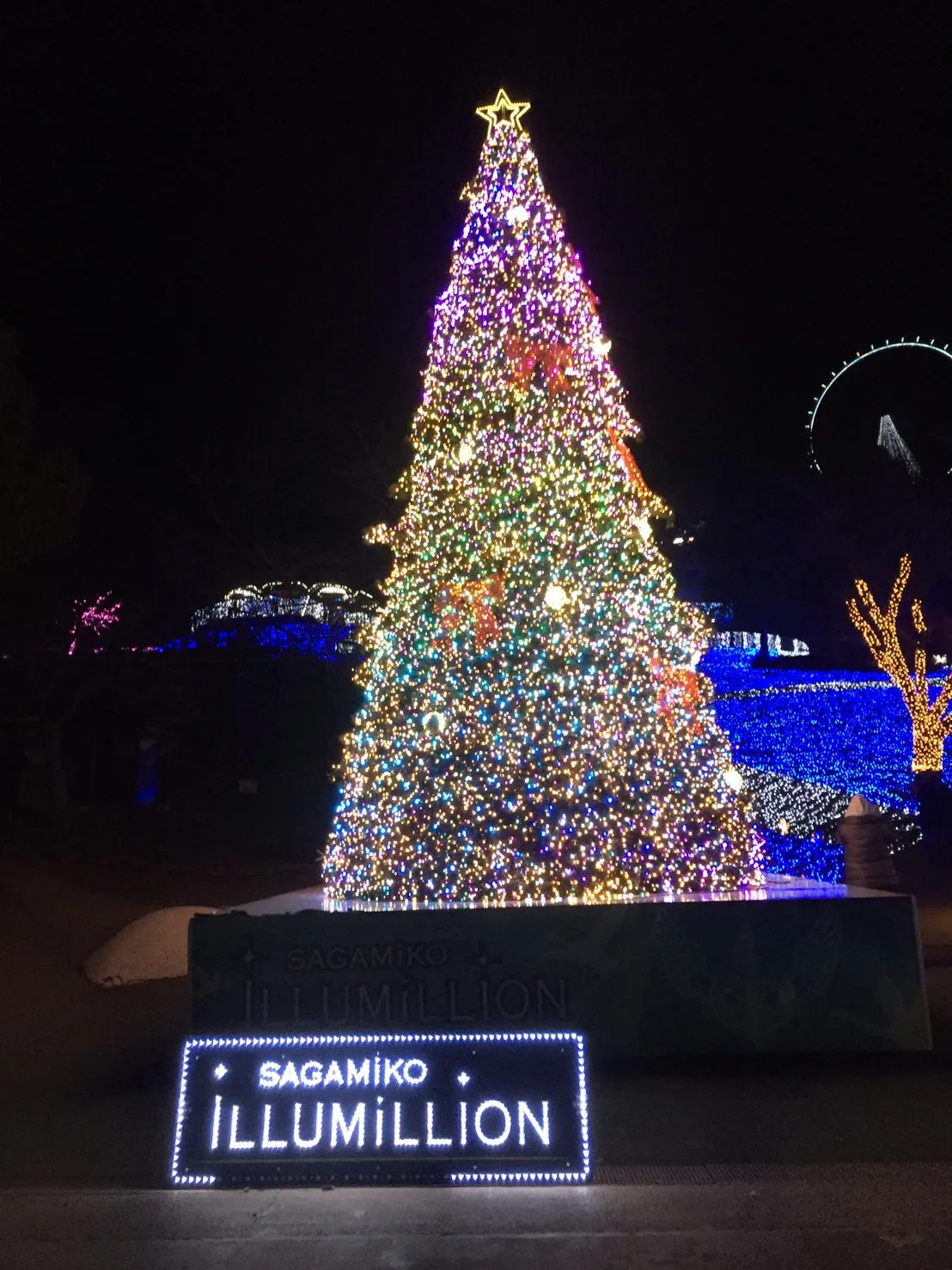 さがみ湖/イルミリオン/イルミネーション