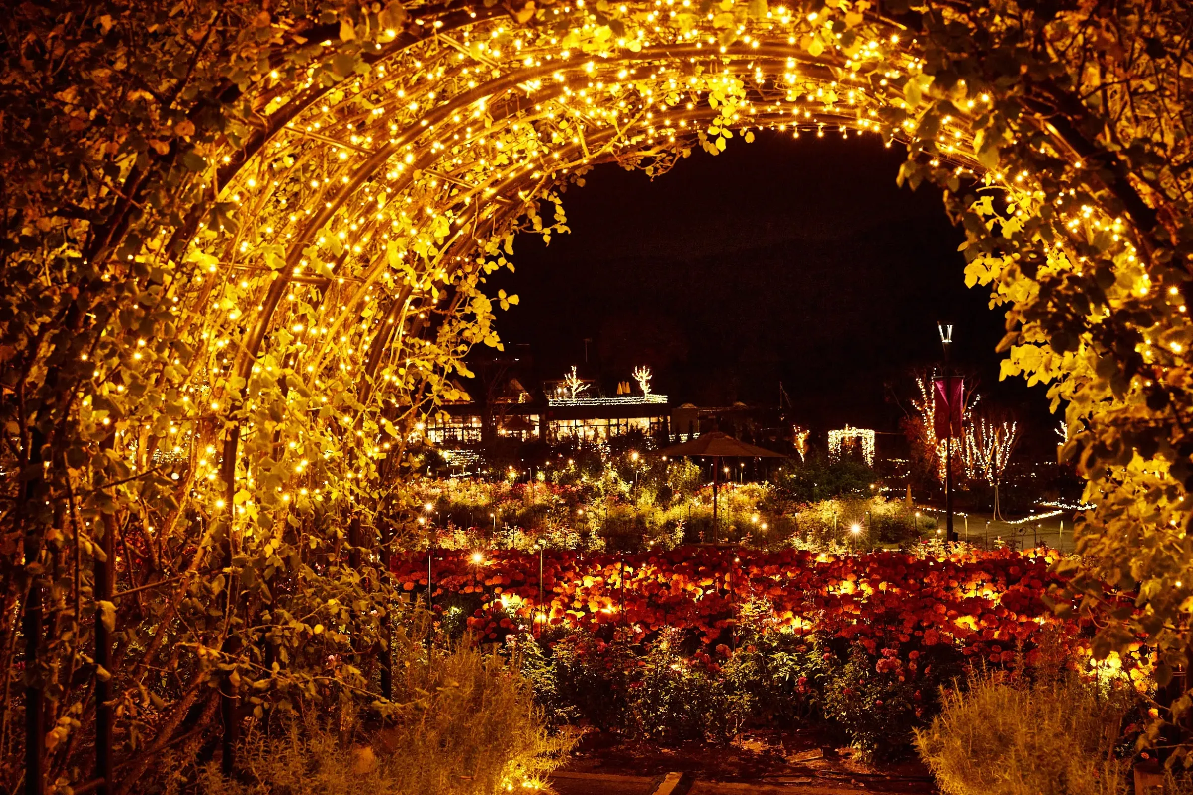 フラワーイルミネイト/イルミネーション/植物園