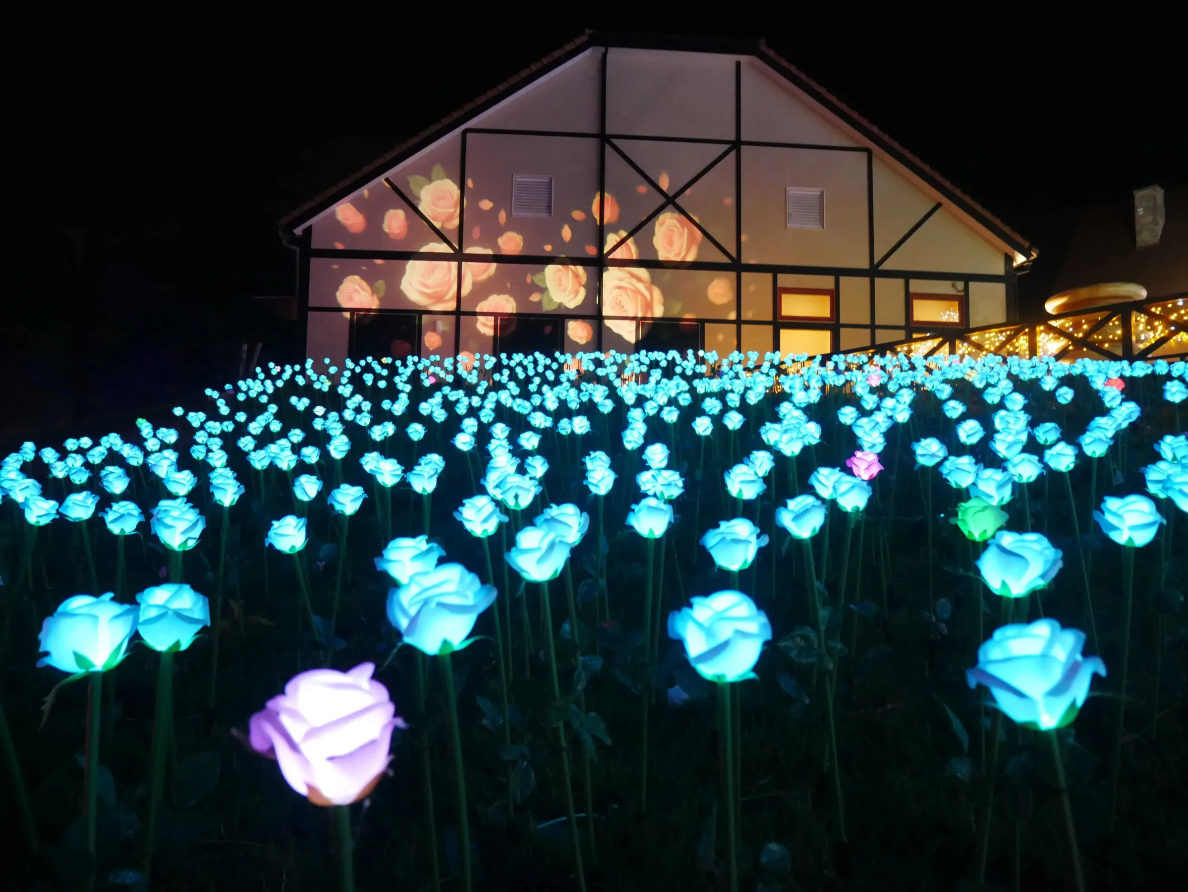 東京ドイツ村/イルミネーション