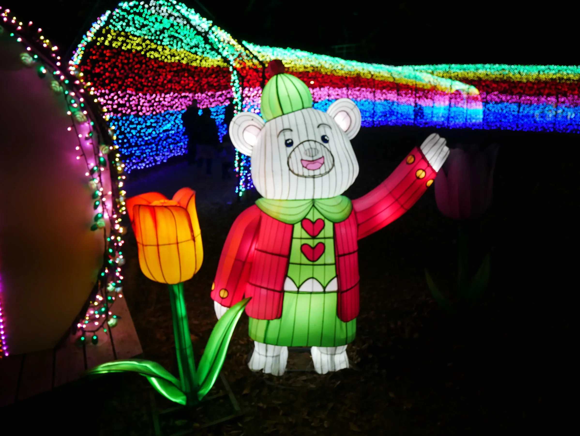 東京ドイツ村/イルミネーション/かわいいクマ