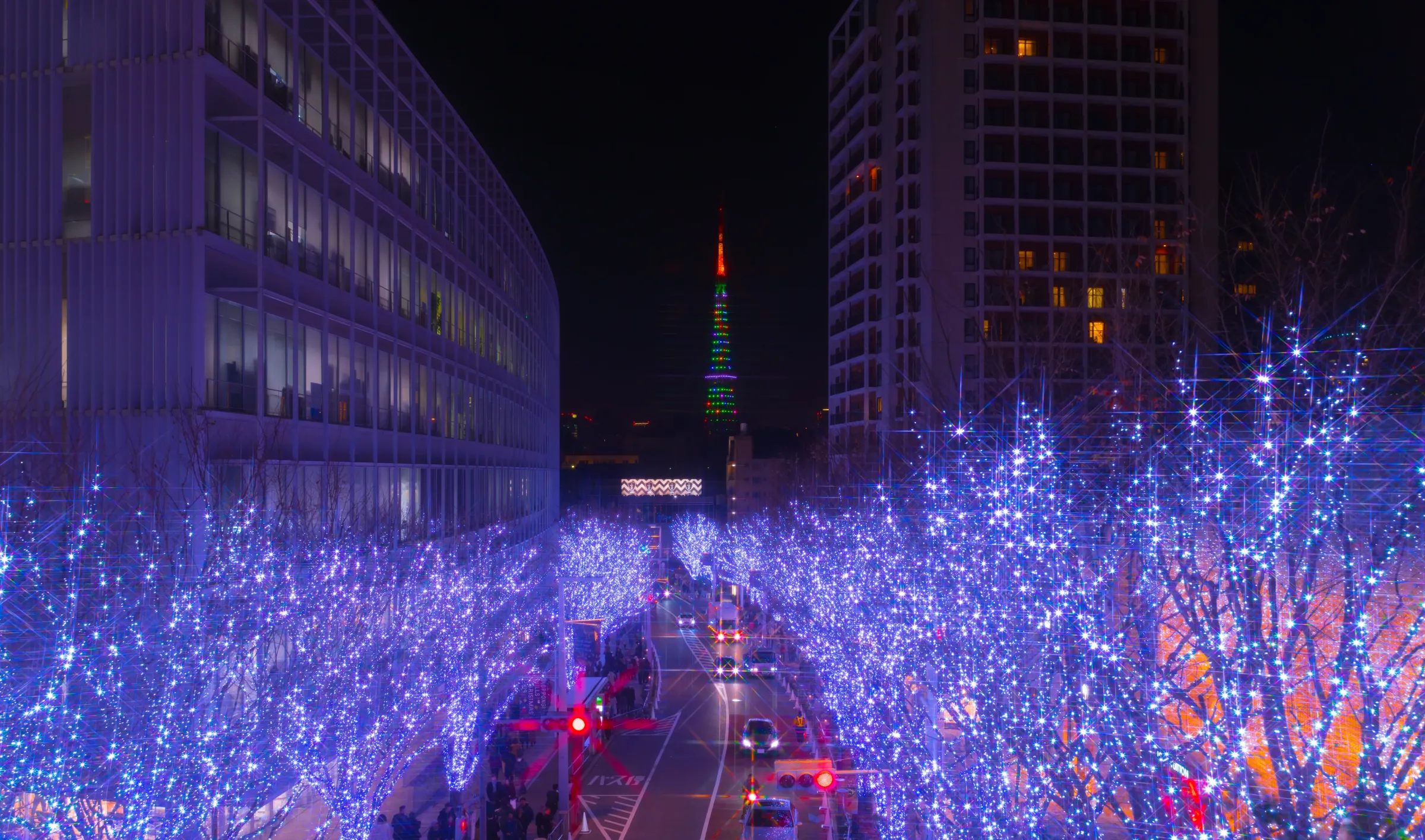 けやき坂/六本木ヒルズ/イルミネーション/都会デート