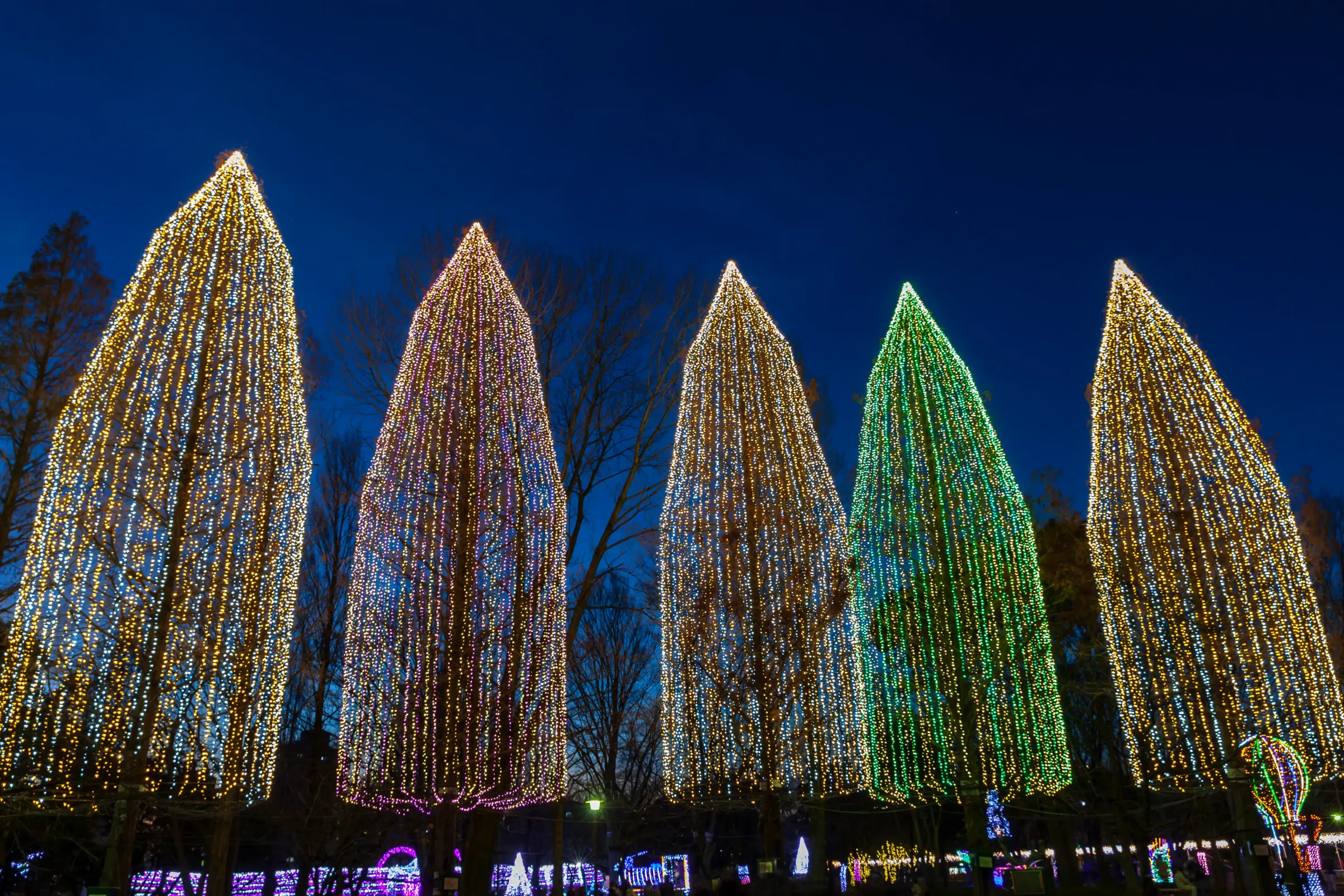 光の祭典/イルミネーション/竹ノ塚