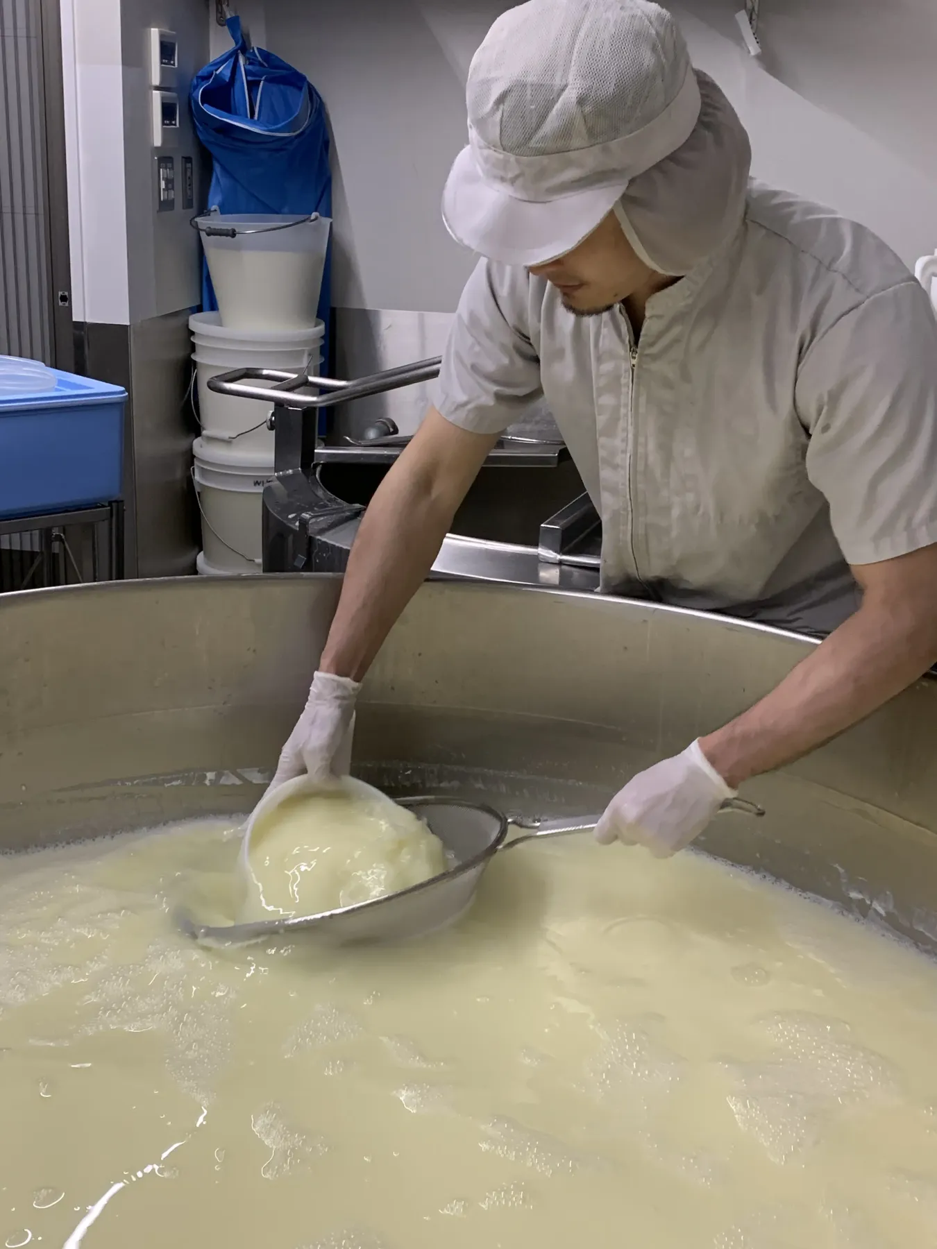 チーズ製造の現場