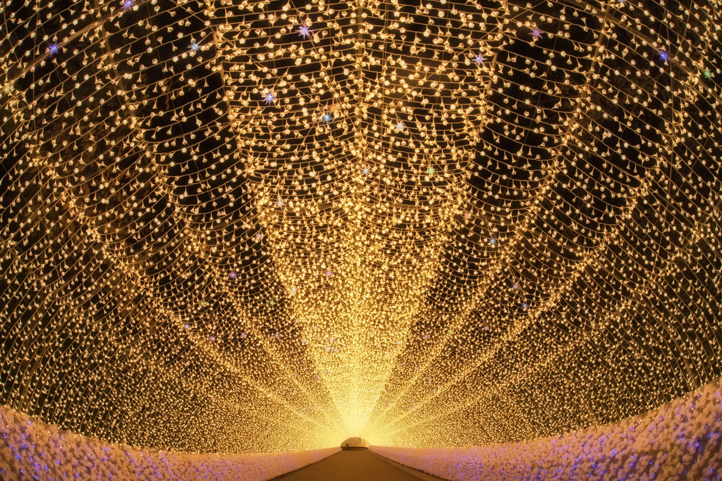 なばなの里/イルミネーション/関西