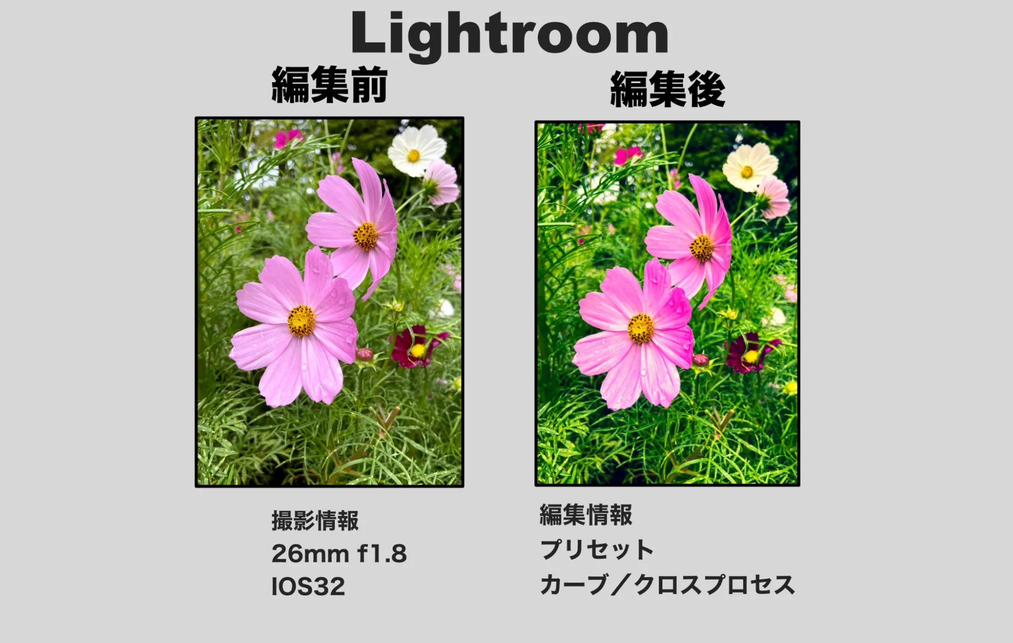 Lightroom