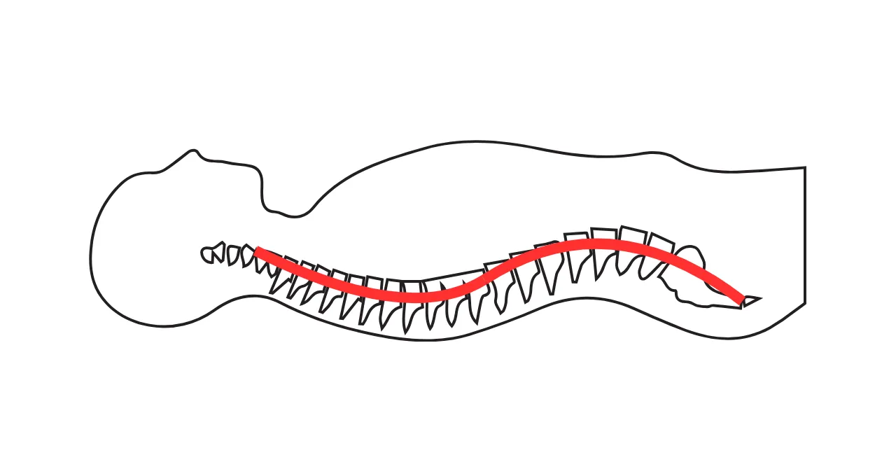 マットレスおすすめ／体のS字カーブを維持できるか確認