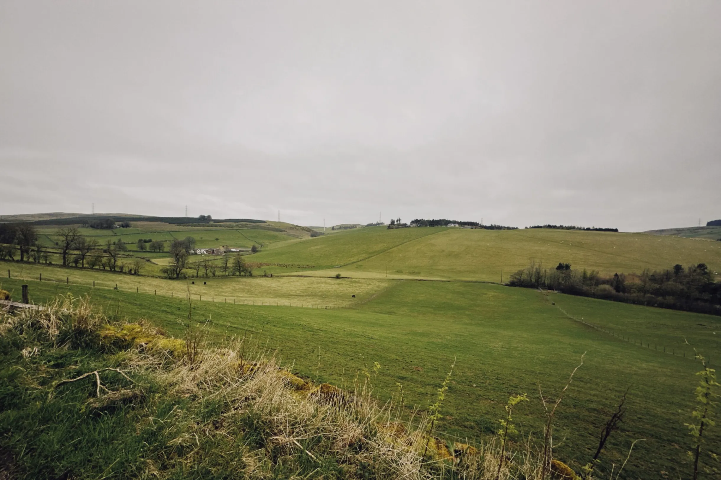 ハイランド地方の風景