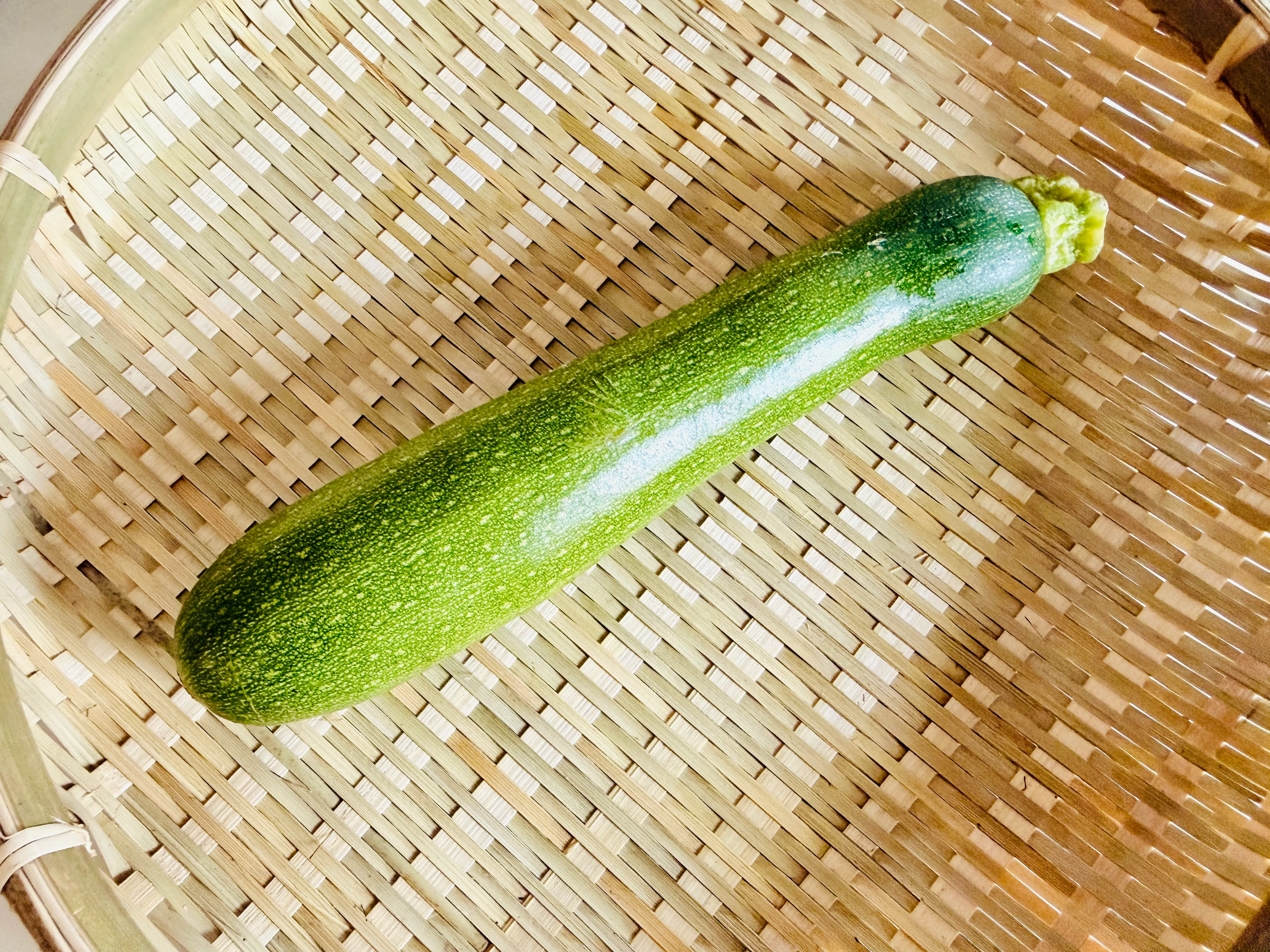 ズッキーニ
